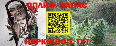гашик Тара