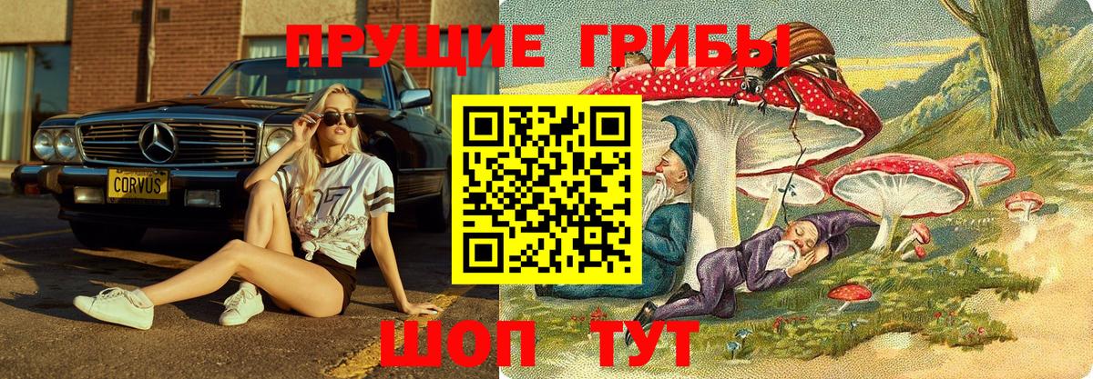 Псилоцибиновые грибы Magic Shrooms Нововоронеж