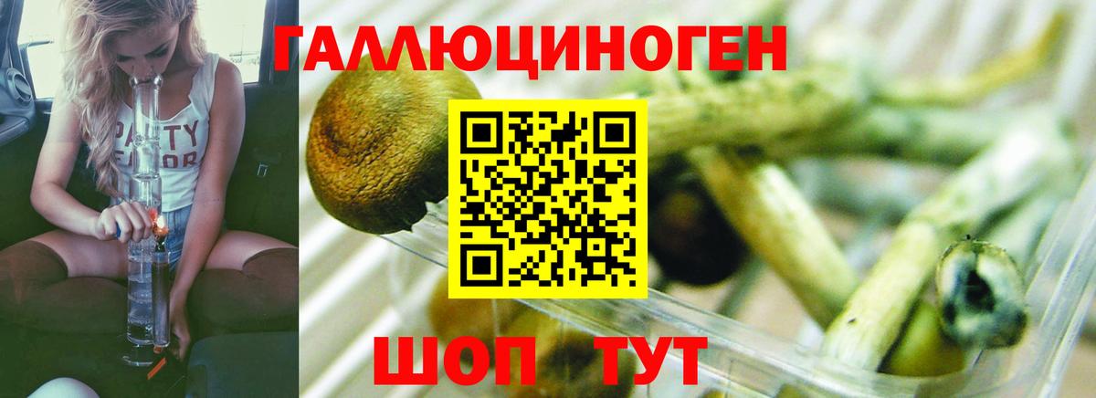 Галлюциногенные грибы прущие грибы  Вход с VPN  Нововоронеж 
